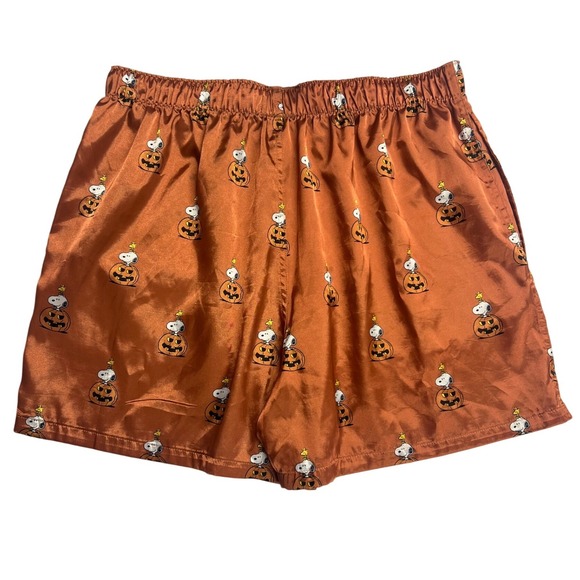 American Eagle Peanuts Snoopy Fall 2024 Satin Shorts M Halloween Pumpkins - Picture 8 of 11